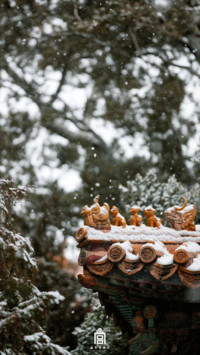 雪落故宫