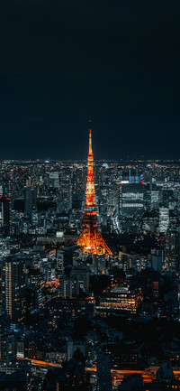城市失眠