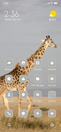 Giraffe