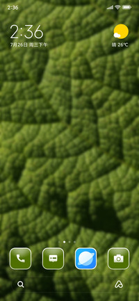 Leaf