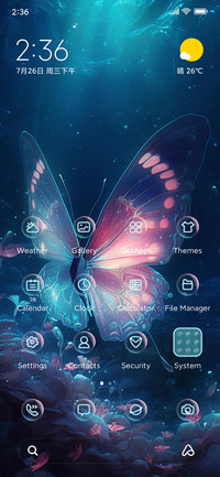 Dazzling Butterfly