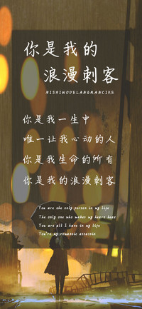 你是我的浪漫刺客