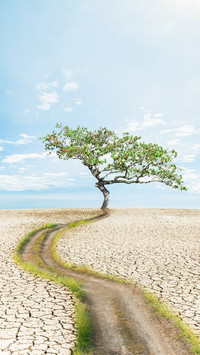世界防治荒漠化和干旱日