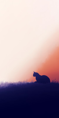 Silhouette2.jpg