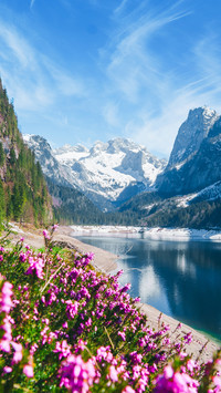 Venture into the hidden gems of the bavarian mountains
