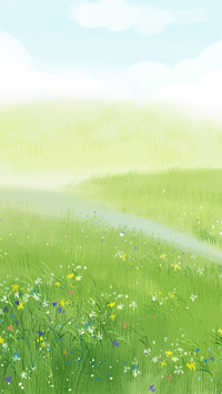 A meadow full of flowers