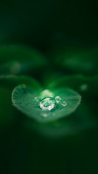 谷雨 与春天的告别