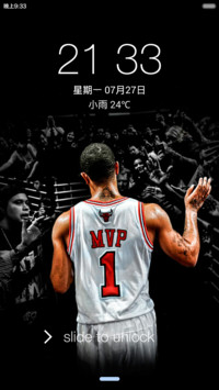 Derrick Rose OS