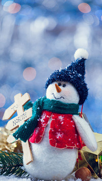 Winter scenery-02