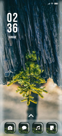 Pine_One