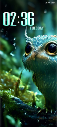Rain owl