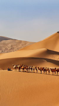Top ten mysterious desert relics on earth 52
