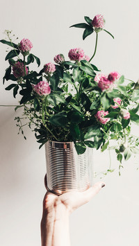 PAIXIN-plant (10)