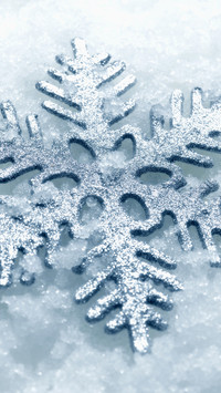 International-Snowflake
