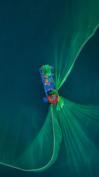 The vast ocean turns into a blue granary