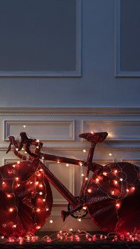 International-bicycle
