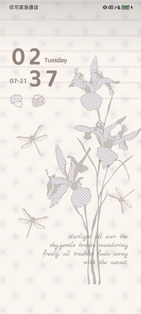 简约 鸢尾花集