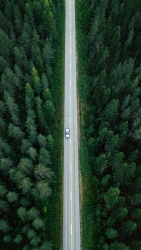 The most beautiful in the world top ten forest