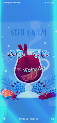 Holiday Winter