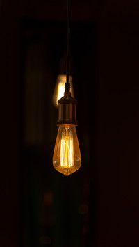 Decorative bulbs in vintage style Edison