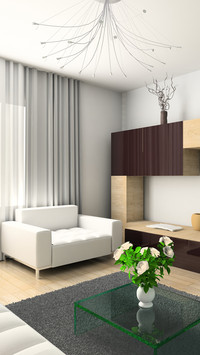 How does home decoration have an advanced sense 2