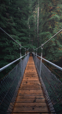 Bridges of Nature 2 (36)