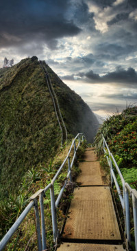 Bridges of Nature 2 (42)