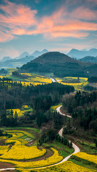 Rapeseed Flower Fields in Luoping, Yunnan