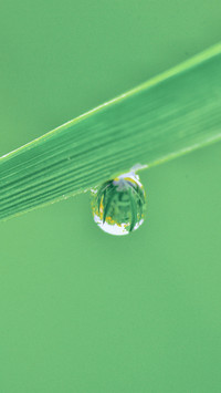 Spring scenery-22