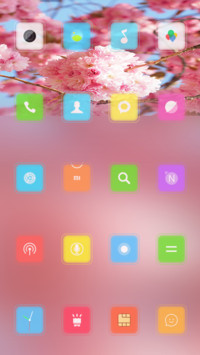 Cherry Blossoms
