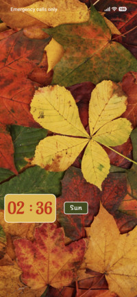 Leaves