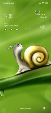 rain snail