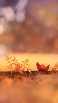 Autumn Vibes with Lovely Toys