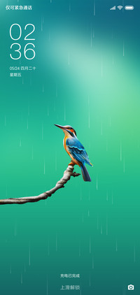 蜂鸟极简护眼