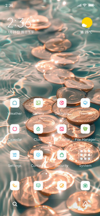 Coin