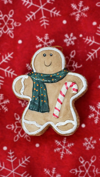 Christmas (6)