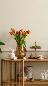 Benefits of placing green plants indoors 3