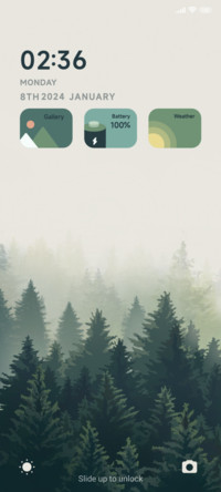 Foggy Forest