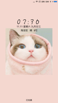 小粉猫