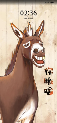 你瞅啥