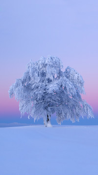 Magnificent natural wonders
