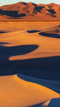 desert