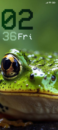 Frog