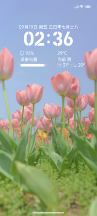 flower