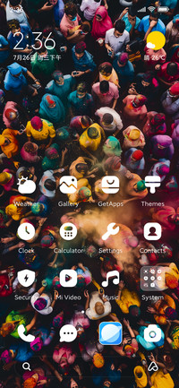 holi