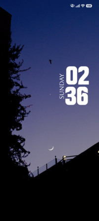Nocturnal Glow