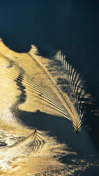 The water surface sparkles with ripples