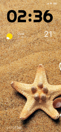 beach starfish