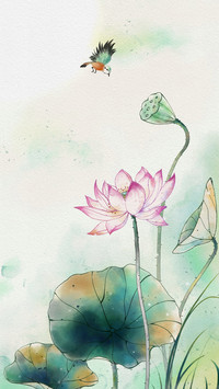 花卉里的中式美学