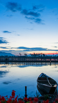 The dawn here is quiet
